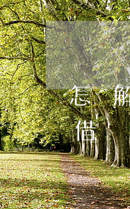 怎樣解除借唄還款綁定的銀行卡-怎樣解除借唄還款綁定的銀行卡號(hào)