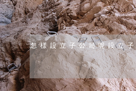怎樣設立子公司呢（設立子公司需要多久）