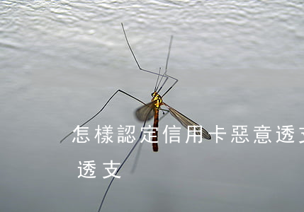 怎樣認定信用卡惡意透支(信用卡什么叫惡意透支)