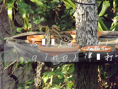 怎樣請(qǐng)律師打官司(如何聘請(qǐng)律師打官司)
