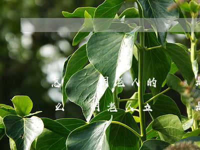 怎樣證明老人的遺囑是真實(shí)的(怎么證明老人立遺囑是意識(shí)清楚的)