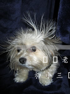 怎樣讓老公和小三徹底斷了(怎么才能讓老公和小三徹底斷了)