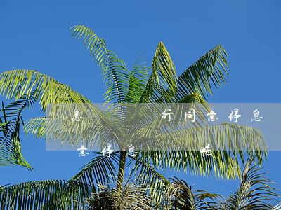 怎樣讓銀行同意停息掛賬呢-怎樣讓銀行同意停息掛賬呢