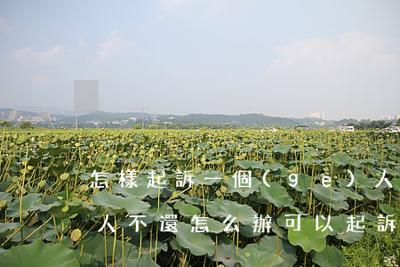 怎樣起訴一個(gè)人借錢不還(借錢給別人不還怎么辦,可以起訴嗎)