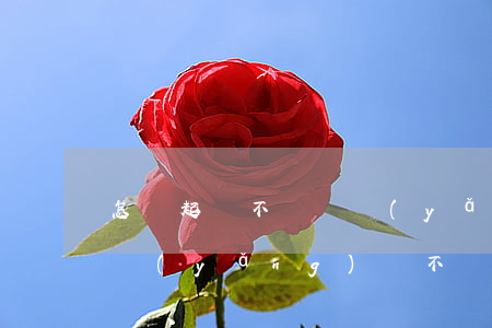 怎樣起訴不給撫養(yǎng)費的一方(撫養(yǎng)費不給怎么起訴?多少起訴費)