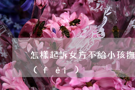怎樣起訴女方不給小孩撫養(yǎng)費(fèi)
