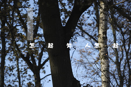 怎樣起訴欠錢人 怎樣起訴欠錢人不還錢