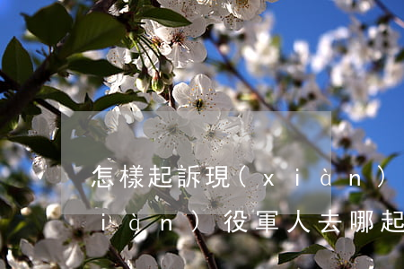 怎樣起訴現(xiàn)役軍人(起訴現(xiàn)役軍人去哪起訴)