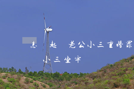 怎樣起訴老公小三重婚罪(起訴重婚罪可以只讓小三坐牢嗎)