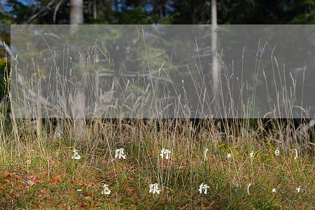 怎樣跟銀行協(xié)商個性化分期還款-怎樣跟銀行協(xié)商個性化分期還款呢
