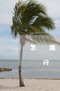 怎樣跟銀行協(xié)商減免利息政策-銀行協(xié)商減免一般會(huì)減免下來(lái)嗎