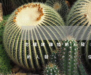 怎樣跟離婚的人發(fā)信息(怎樣跟離婚的人發(fā)信息)