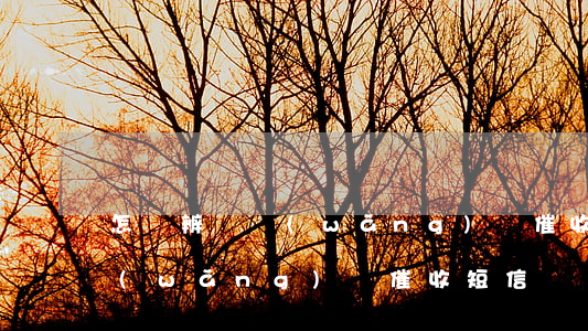 怎樣辨別網(wǎng)貸催收短信真假(網(wǎng)貸催收短信話術(shù)模板)