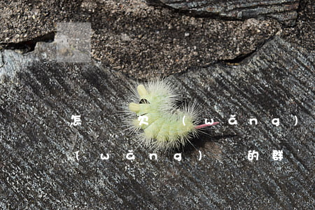 怎樣進欠網(wǎng)貸的群(怎樣進欠網(wǎng)貸的群)
