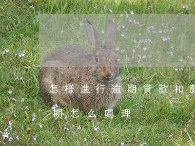 怎樣進行逾期貸款扣款(貸款發(fā)生逾期,怎么處理)
