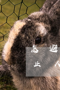怎樣避免被對(duì)方律師套路(如何防止別人套路自己)
