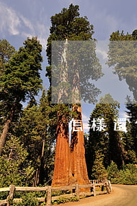怎樣還信用卡的欠款（信用卡還款是怎么欠的）