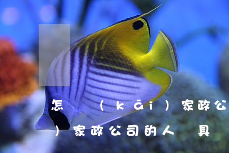 怎樣開(kāi)家政公司(怎樣開(kāi)家政公司的人員具體有哪些)