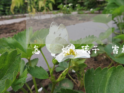 怎樣離婚對孩子傷害最小