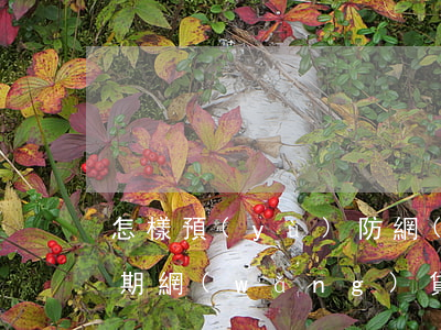 怎樣預(yù)防網(wǎng)貸故意逾期(網(wǎng)貸逾期如何正確解決)