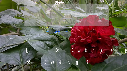 怎樣驗證欠網(wǎng)貸(怎么知道對方欠網(wǎng)貸)