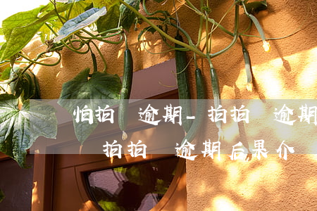 怕拍貸逾期-拍拍貸逾期會(huì)怎么樣?拍拍貸逾期后果介紹