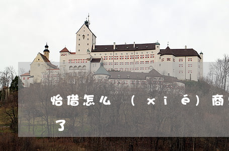 怡借怎么協(xié)商只還本金(怡借倒閉了)