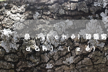 急剎車(chē)致乘客受傷 公交公司擔(dān)責(zé)賠償