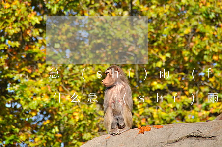 急時(shí)雨發(fā)短信說逾期是什么(急時(shí)雨發(fā)短信提醒貸款逾期)