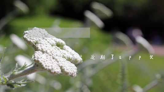 急用錢APP逾期了(app欠錢逾期會怎么樣)