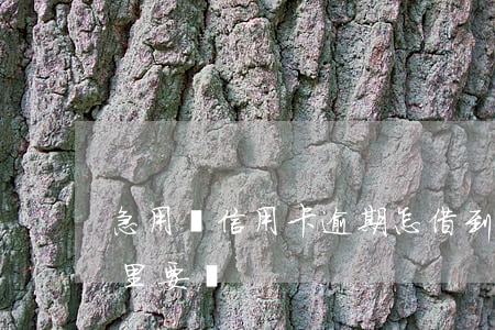 急用錢信用卡逾期怎借到錢（信用卡逾期到家里要錢）
