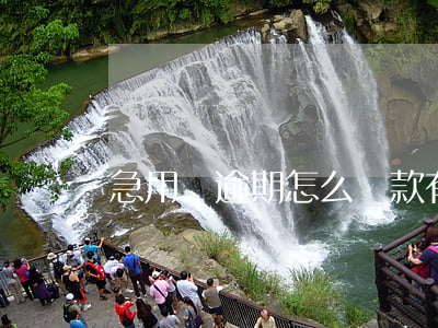急用錢逾期怎么還款(有逾期急用錢,怎么借啊)