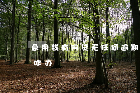 急用钱有网贷无任何逾期(网贷逾期借不到钱咋办)
