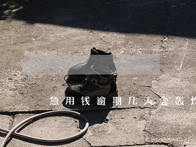 急用钱逾期几天会轰炸(惠花钱逾期几天轰炸)