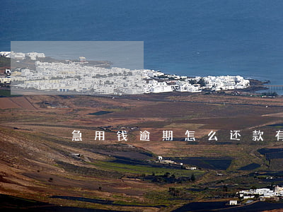 急用钱逾期怎么还款(有逾期急用钱,怎么借啊)