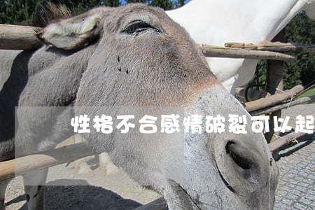 性格不合感情破裂可以起訴離婚嗎