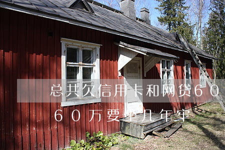 总共欠信用卡和网贷60多万(欠网贷信用卡60万要坐几年牢)