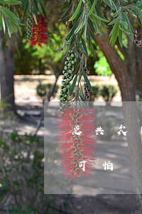 总共欠网贷和信用卡(欠网贷跟欠信用卡哪个可怕)