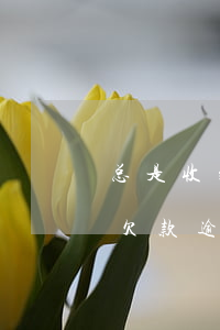 总是收到欠款逾期短信怎样处理-总是收到欠款逾期短信怎样处理呢
