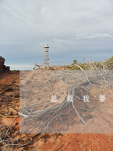 总裁我要离婚
