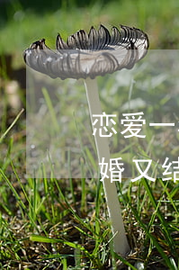 恋爱一年结婚一年就离婚(一年之内结婚后离婚又结婚)