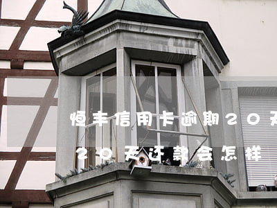 恒丰信用卡逾期20天还款(恒丰信用卡逾期20天还款会怎样)