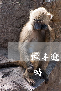 恒丰逾期会封卡吗怎么解封（恒丰逾期会封卡吗）