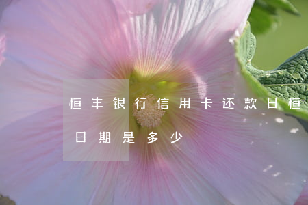 恒丰银行信用卡还款日(恒丰银行信用卡还款日期是多少)