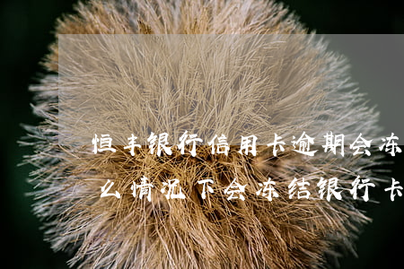 恒丰银行信用卡逾期会冻结账户(还贷逾期 什么情况下会冻结银行卡账户)