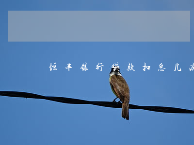 恒丰银行贷款扣息几次(恒丰银行还款方式)