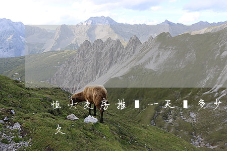 恒大交房推遲一天賠多少錢(恒大退房最快多久)
