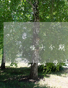 恒大分期付款逾期違約金多少錢(qián)-恒大分期付款逾期違約金多少錢(qián)合適