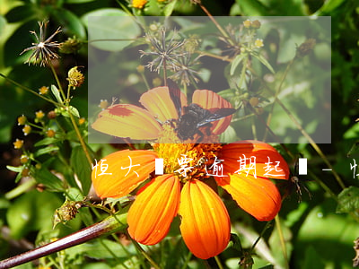 恒大匯票逾期起訴-恒大匯票到期不付款