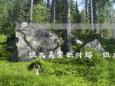 恒大商票拒付起訴（恒大商票逾期如何起訴）